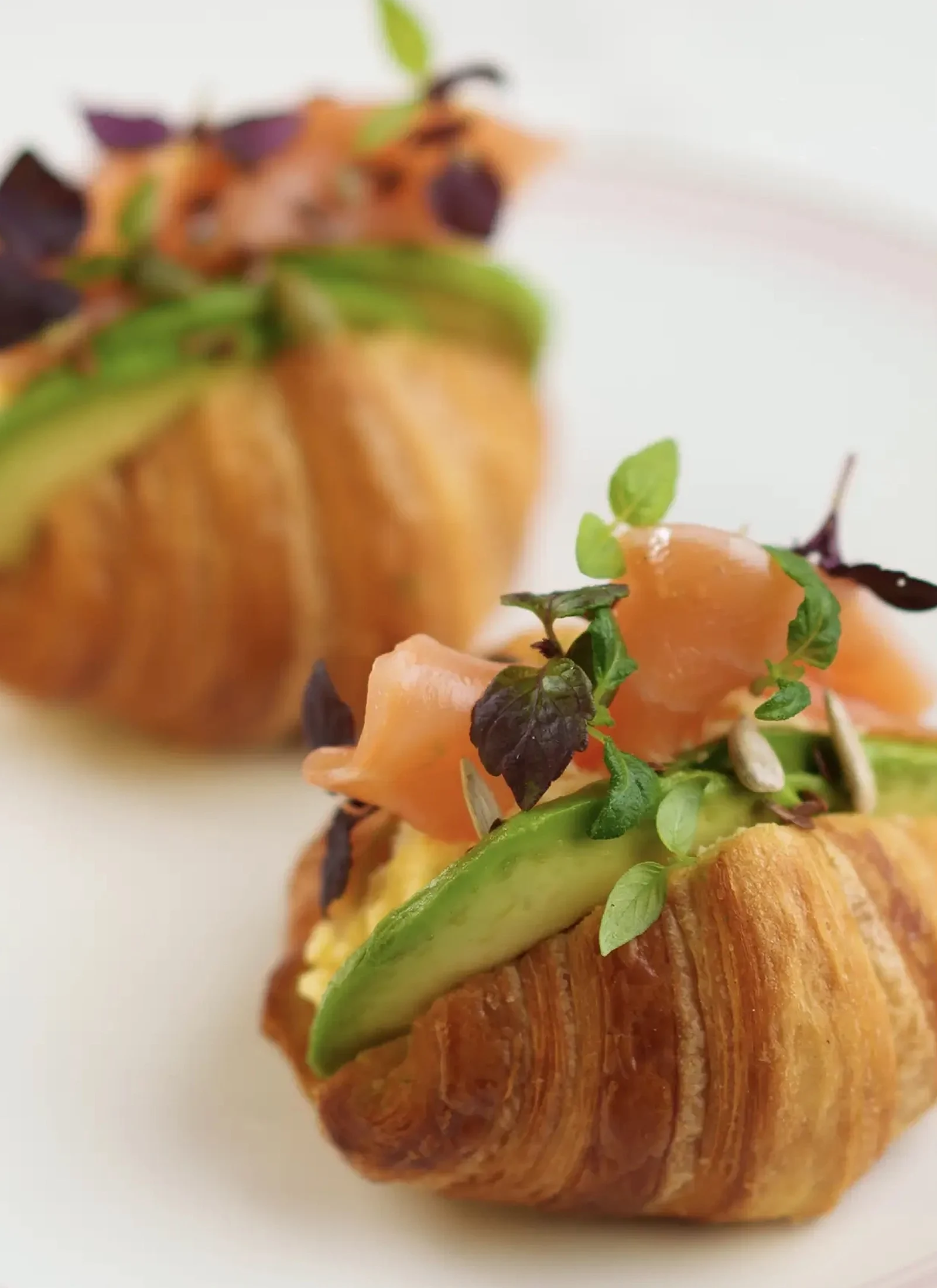 Croissant Salmon, Avocado - beautifully plated and ready to enjoy
