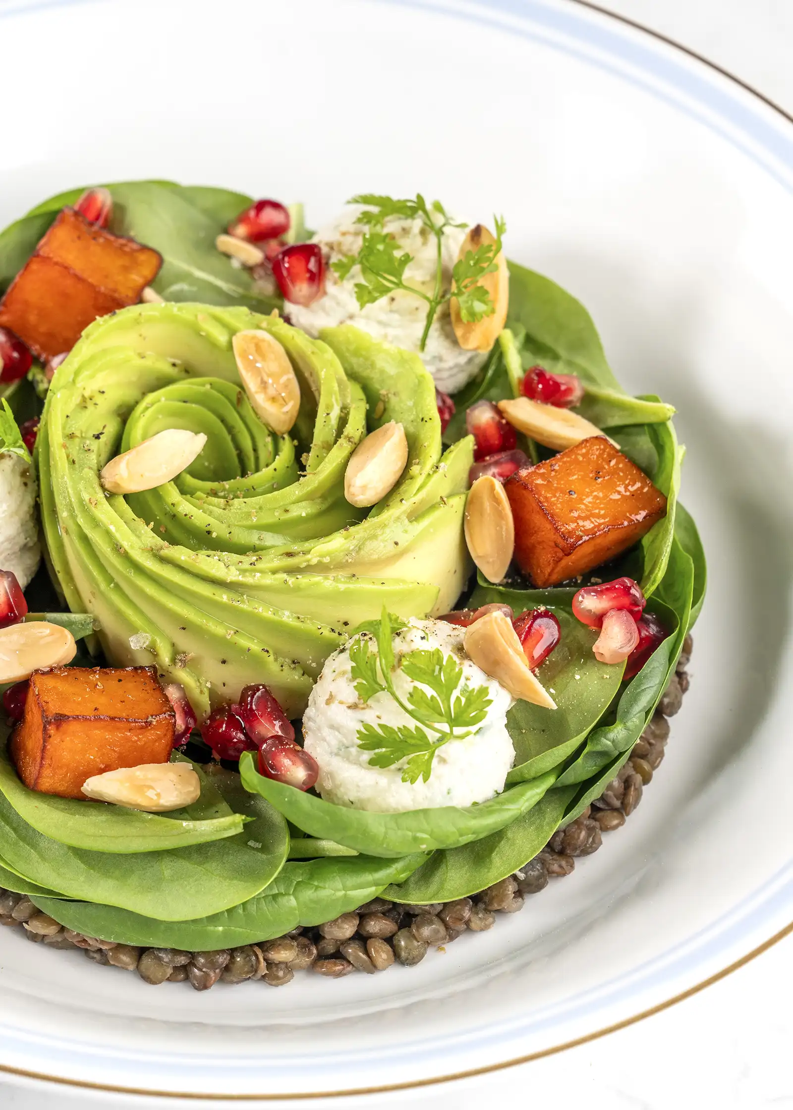 Lentil salad beautifully plated and ready to explore