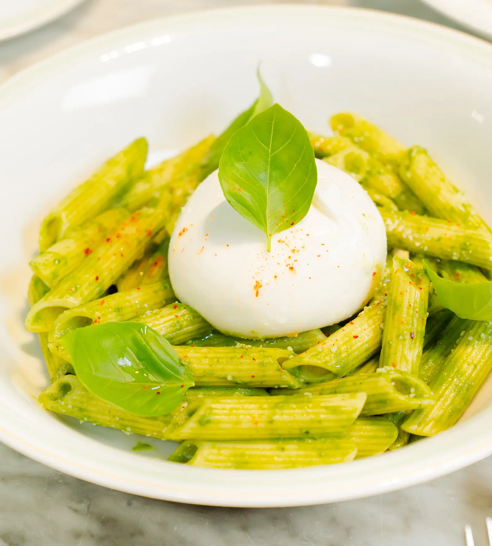 Penne Pesto beautifully plated and ready to explore
