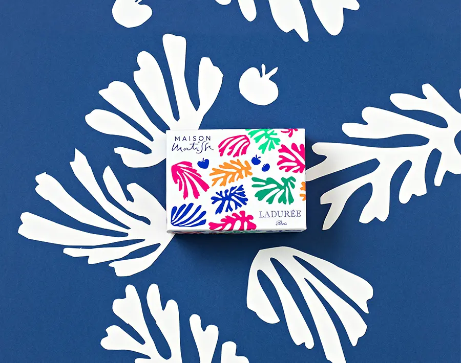 Maison Matisse Assortment back