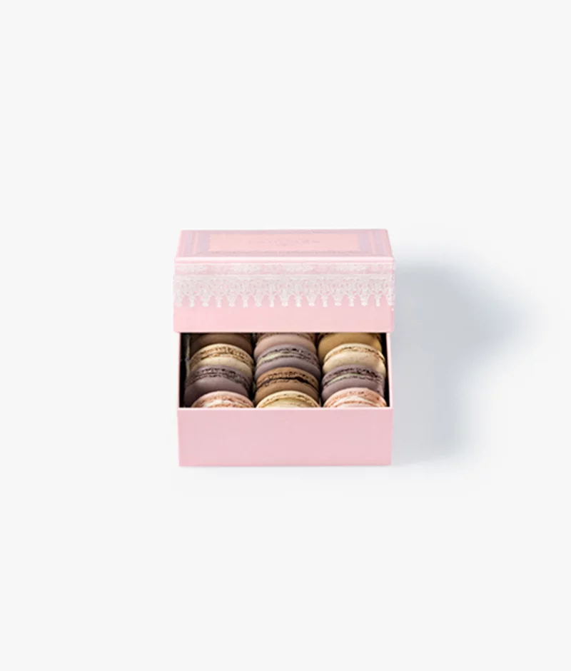 Napoleo12 Macarons_Gift Box–Pink